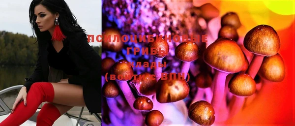 прущие грибы Сясьстрой
