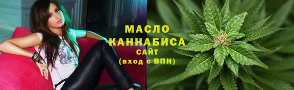 ECSTASY Горняк