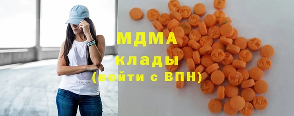 прущие грибы Сясьстрой